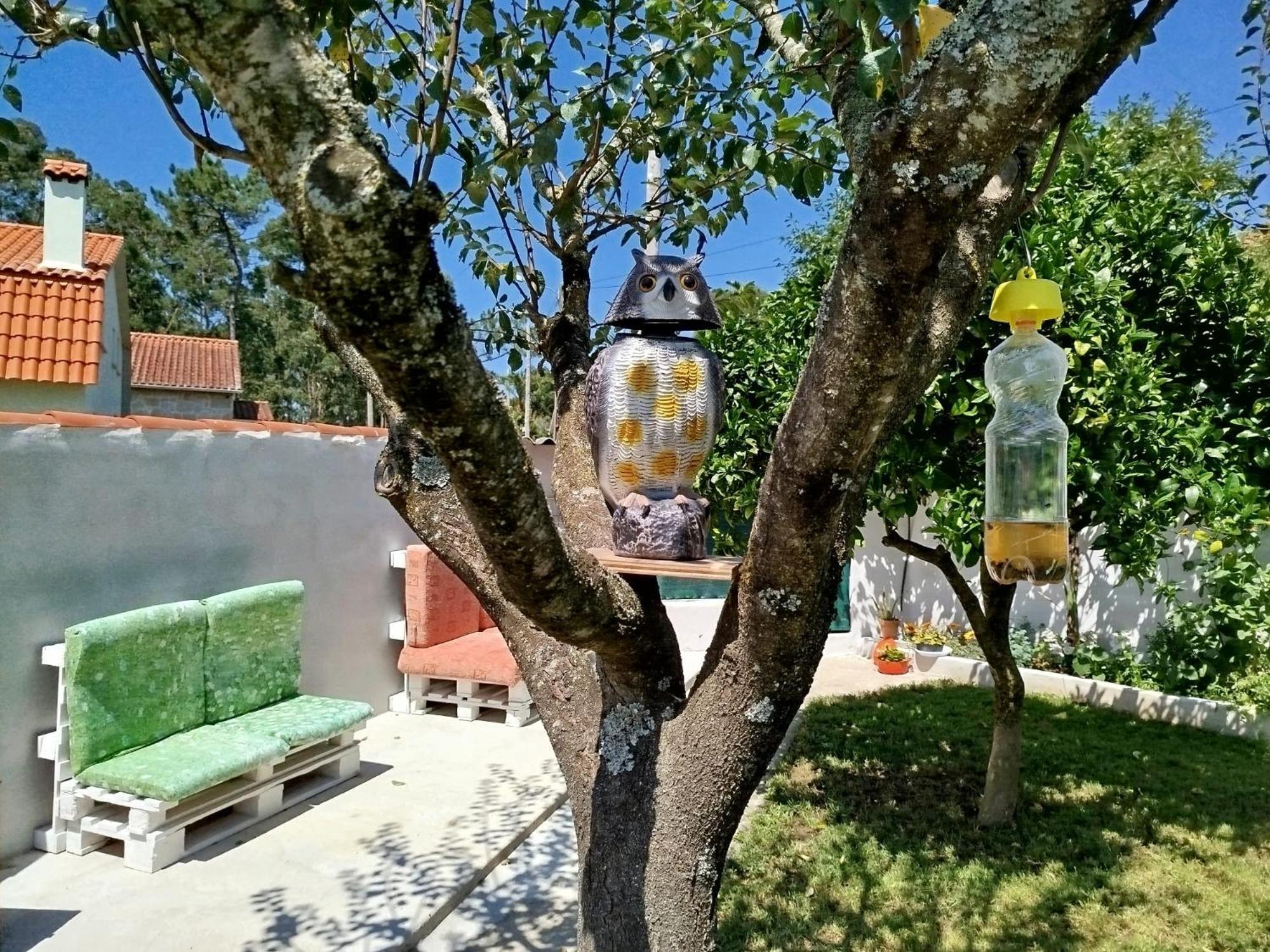 Villa A Telleira Rosal Esterno foto