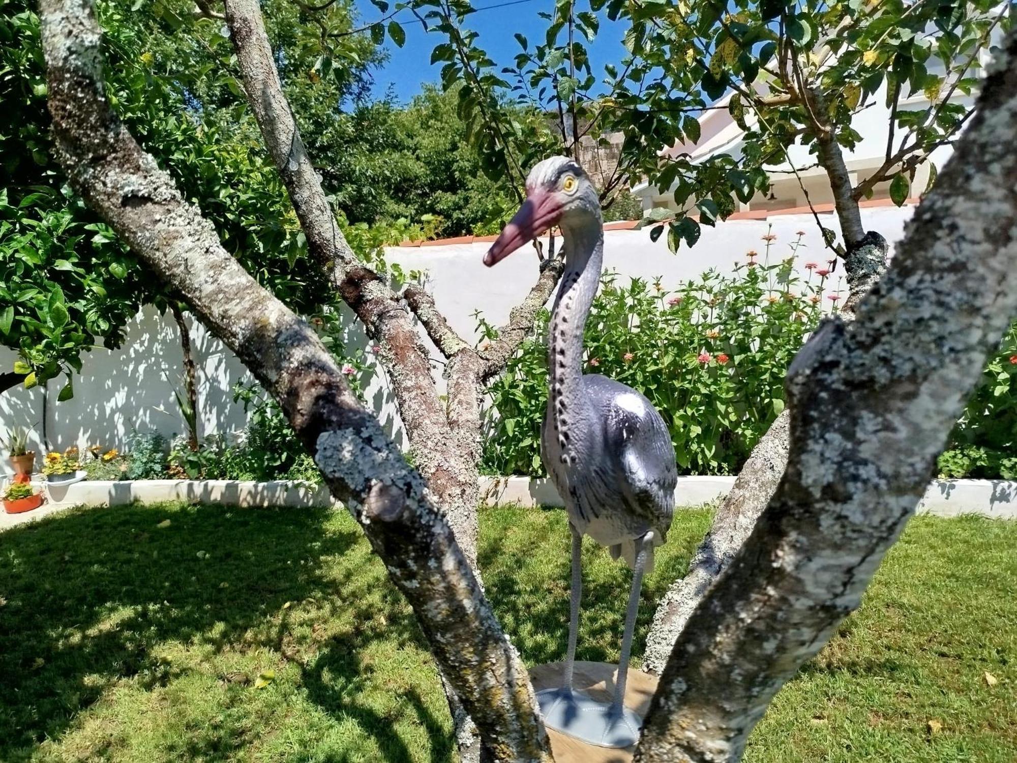 Villa A Telleira Rosal Esterno foto
